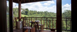 Bali Jannata Villa - View From Balcony